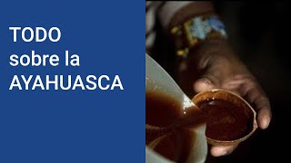 AYAHUASCA ¿Qué es la ayahuasca y que EFECTOS tiene la ayahuasca ¿Dónde pruebo la ayahuasca [upl. by Afrikah455]