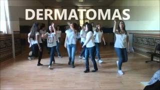 baile dermatomas y miotomas [upl. by Gotcher]