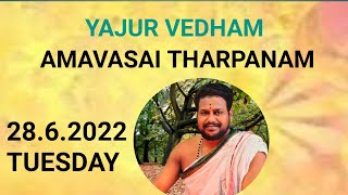 Yajur vedha Amavasai Tharpanam2862022 Tuesday [upl. by Aikit900]