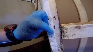 MOST EXTENSIVE BED BUG TREATMENT ON YOUTUBE  Learn how to DIY bed bugs [upl. by Yellas208]