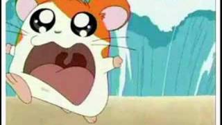 hamtaro arabic opening [upl. by Rochette65]