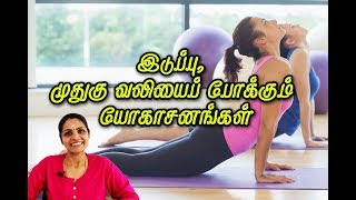 Yoga for Back Pain  இடுப்பு முதுகு வலியைப் போக்கும் யோகா PENTVTAMIL [upl. by Ihcekn]