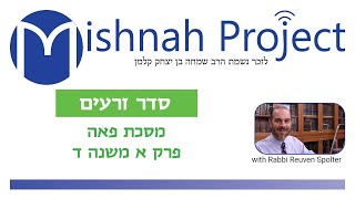 Peah Chapter 1 Mishnah 4 [upl. by Nalim260]