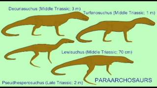 PL EXAM 2 THECODONT DESCENDANTSavi [upl. by Lap]