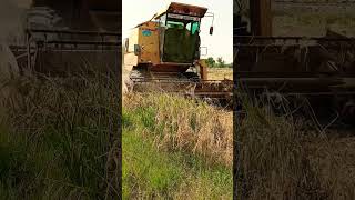 harvesting  agriculture agriculture harvest farming farmer modernagriculturemachine [upl. by Toscano30]