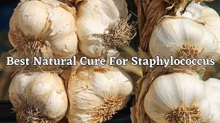 How To Naturally Cure Staphylococcus Aureus At Home [upl. by Enineg]