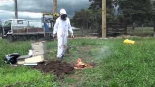 AFB elimination 11  How to burn a hive [upl. by Pamelina]