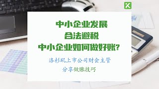 中美跨国公司洛杉矶财务会计主管 国税局税务师EA 分享中小企业 Bookkeeping 做账的常见问题和应对方案帮助企业发展与合法避税 [upl. by Anohr696]