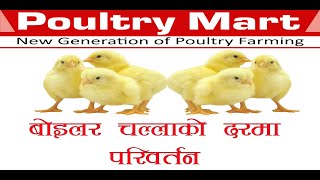 Poultry mart  चल्लाकाे दरमा परिवर्तन २०८१।१।२२ [upl. by Yentirb]