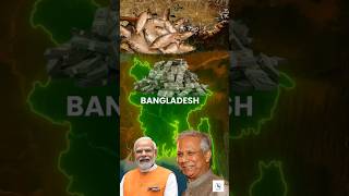 No more ban on hilsa fish transport by Bangladesh bangladesh india [upl. by Llertnad565]