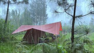 SOLO CAMPING HEAVY RAIN  RELAXING CAMPING WITH RAIN SOUNDS  ASMR [upl. by Ttam]