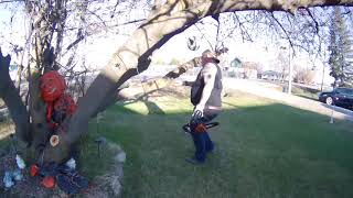 WORX 20v Lithium 10 inch Cordless ChainSaw Combo Part Two [upl. by Nueormahc780]