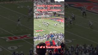 University of Arizona Wildcats Vs University of Houston Cougars HD  Tucson AZ 111524 [upl. by Naamana]