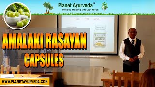 Amalaki Rasayan Capsules  Ayurvedic Properties amp Health Benefits  Ayurveda in Slovakia Europe [upl. by Edny]