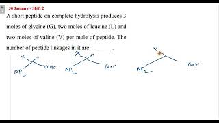 A short peptide on complete hydrolysis produces 3 moles of glycine G two moles of leucine L [upl. by Otrevogir46]