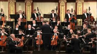 Beethoven Sinfonia 5 [upl. by Suirtemed]