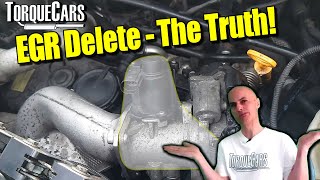 EGR DeleteEGR Removal  Worth The RiskEffort All You Need To Know About EGR Deletes [upl. by Wit]