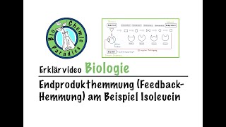 Erklärvideo Biologie – Endprodukthemmung FeedbackHemmung am Beispiel Isoleucin [upl. by Gerome309]