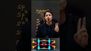 Hybridisation Explained for Class 11 with Tips amp Tricks [upl. by Emiaj]