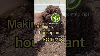 Making my houseplants SOIL Mix shortvideo plants youtubeshorts garden shorts viralvideo [upl. by Ahsimed]