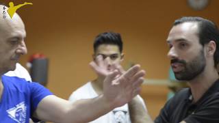 WING CHUN KUNG FU  limportanza del gomito [upl. by Blakelee]