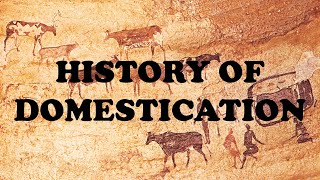 History Of Domestication [upl. by Aneehsyt204]