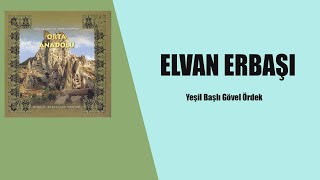 Elvan Erbaşı  Yeşil Başlı Gövel Ördek [upl. by Lesirg218]