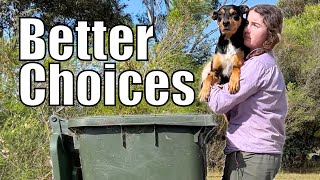 Im Making Better Life Decisions Australian Sheep Farm Vlog [upl. by Lasonde990]