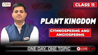 Gymnosperms and Angiosperms  Plant Kingdom  class 11  Biology  One Day One Topic [upl. by Biron]