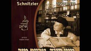 Michoel Schnitzler  מיכאל שניצלער מיין קינד טרעף מיך [upl. by Nawd]