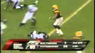 Hines Ward Levels Ed Reed [upl. by Lorac]