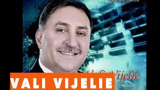 VALI VIJELIE cu ADI CAVAL  Duo cu toba [upl. by Mirabelle]