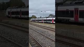 TER to Vittel at Langres station train trainspotting [upl. by Naffets]