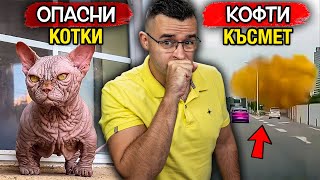 КОТКИ МУТАНТИ заливат света – Новини – Clash News еп 38 [upl. by Howlan]