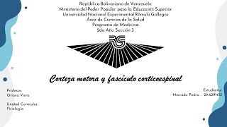 27  Corteza motora y fascículo corticoespinal [upl. by Ecreip]