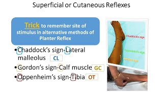 Motor System Examination Part11  Superficial Reflexes  CNS Examination  Pediatrics [upl. by Orlosky]