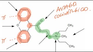 Farmacoquímica del sistema nervioso autónomo Control de Colinérgicos y adrenérgicos [upl. by Melena]