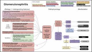 Glomerulonephritis mechanism of disease [upl. by Sinaj766]