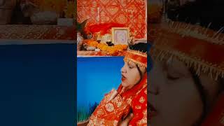 Jay Mata Rani ki bol Sache Darbar ki Jay 🚩🚩🚩🚩🚩🚩🚩 bhaktisong song shortsbhushan patrioticsongs [upl. by Nimajnab698]