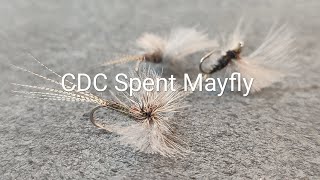 Fly Tying  CDC Spent Mayfly [upl. by Chrystal]