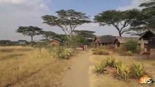 Ndutu Safari Lodge  Serengeti migration area  Tanzania  Expert Africa [upl. by Hallee]