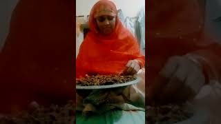 Zikre Ahmad sina saja hai eslamic  video like subscribe [upl. by Verna]