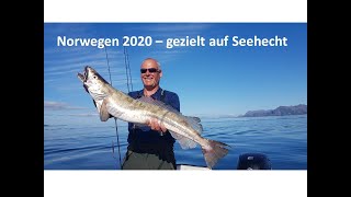 Norway Fishing 2020  gezielt auf Seehecht [upl. by Golightly]