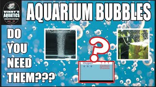 AQUARIUM BUBBLES Do You Need Them [upl. by Hardden]