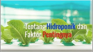 Belajar Hidroponik Dasar dan Faktor Penting [upl. by Jobina]