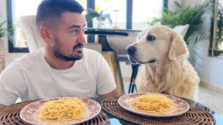 Spaghetti Eating Competition My Golden Retriever Dog vs Me [upl. by Elatsyrk]