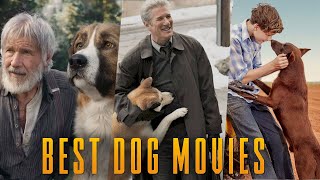 THE 12 DOGS OF CHRISTMAS  Full Family Dog Movie  JordanClaire Green Tom Kemp [upl. by Watters]