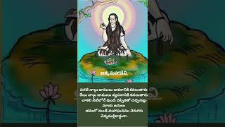 అక్కమహాదేవి వచనములు తెలుగు  Akkamahadevi Beautiful Vachana [upl. by Joub]