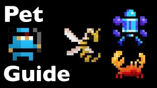 RotMG  Pet guide [upl. by Gough319]