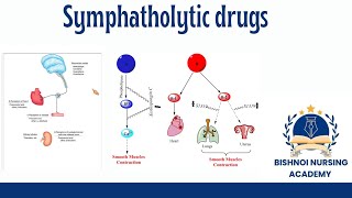 Symphatholitic drugs antihypertensive drugs in pharmacology [upl. by Gerhardt]